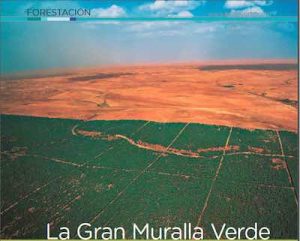 aa75-murallaverde