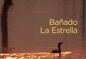 aa76-laestrella