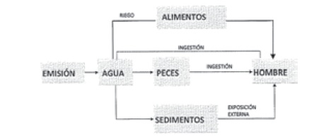res55F2