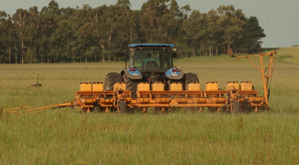 GroboRev82
