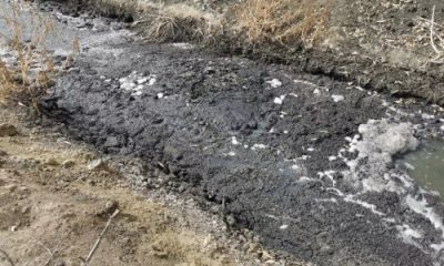 Denuncian contaminación en el río Mendoza - Argentina Ambiental